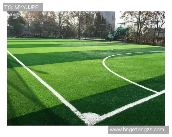 打造真草皮足球场的理想环境与维护技巧分享